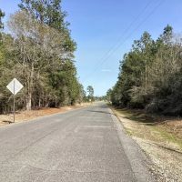 Stagecoach Lane Tract Calcasieu Parish 40 Acres