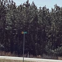 Stagecoach Lane Tract Calcasieu Parish 40 Acres images 2