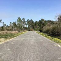 Stagecoach Lane Tract Calcasieu Parish 40 Acres images 3