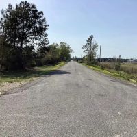 Stagecoach Lane Tract Calcasieu Parish 40 Acres images 4