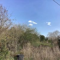 Stagecoach Lane Tract Calcasieu Parish 40 Acres images 5