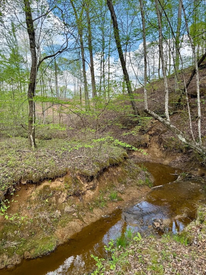 48 Acres in Webster County MS featured image