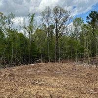 48 Acres in Webster County MS images 3