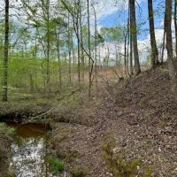 48 Acres in Webster County MS images 5