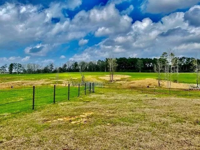 122 acres Improved Pasture Jeff Davis Co. featured image