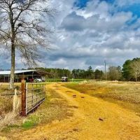 122 acres Improved Pasture Jeff Davis Co. images 2