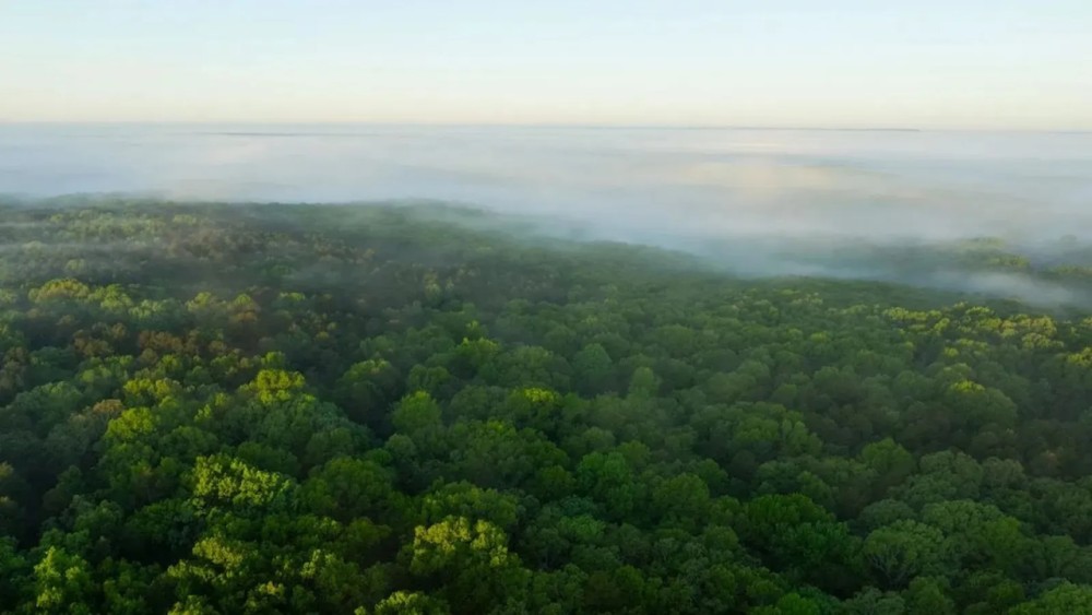 Large Recreational Tract With A Home In The Heart Of The Ozarks featured image