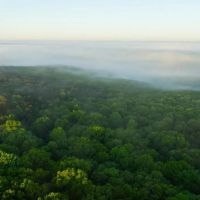 Large Recreational Tract With A Home In The Heart Of The Ozarks