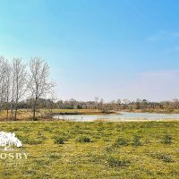 Lowery Farm