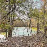 Lowery Farm images 2