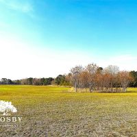 Lowery Farm images 4