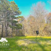 Lowery Farm images 5