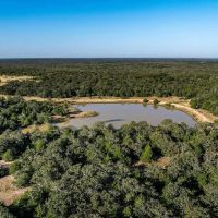 1 051.63 Acres 1883 County Road 273 Weimar TX Colorado County images 2