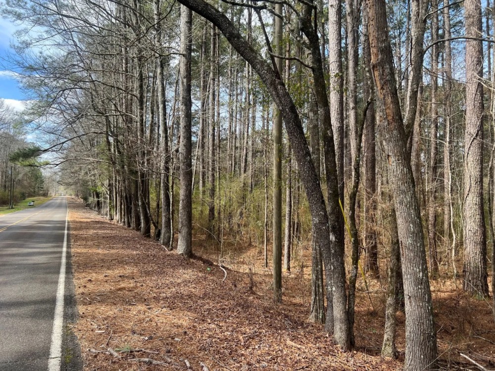 17.54 Acres in Amite County MS featured image