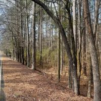 17.54 Acres in Amite County MS