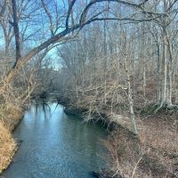 Updated 185.44 acres of Recreational Hunting and Agricultural Land for Sale in Halifax County VA images 4