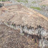 Updated 185.44 acres of Recreational Hunting and Agricultural Land for Sale in Halifax County VA images 5