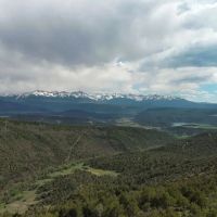 Willeford Ranch