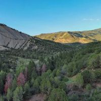Willeford Ranch images 5