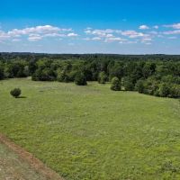 225 Acres FM 1374 images 5