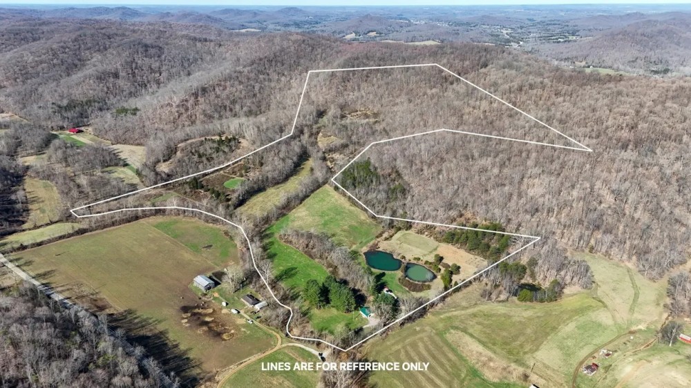 Blue Creek Rd - 100 acres - Adams County featured image