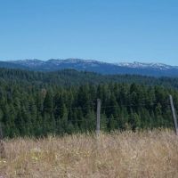 Branch Keyhole Ranch images 4