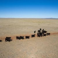 L6 Cattle Ranch images 5