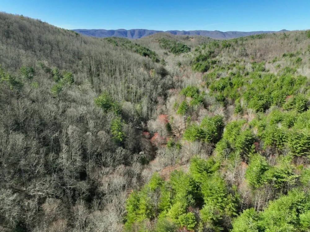 180 acres of Recreational Land for Sale in Patrick County VA featured image