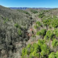 180 acres of Recreational Land for Sale in Patrick County VA