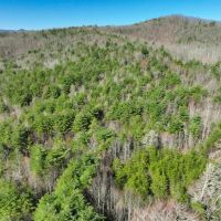 180 acres of Recreational Land for Sale in Patrick County VA images 2