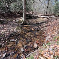 180 acres of Recreational Land for Sale in Patrick County VA images 3