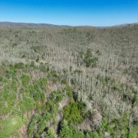 180 acres of Recreational Land for Sale in Patrick County VA images 4