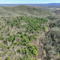 180 acres of Recreational Land for Sale in Patrick County VA images 5