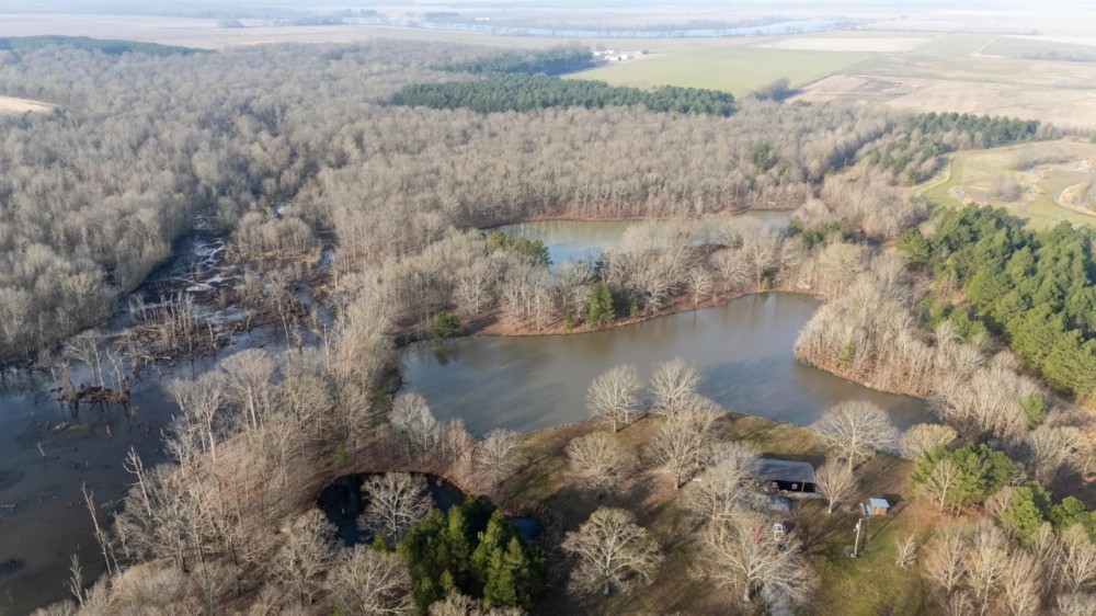 Honey Creek featured image