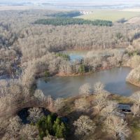 Honey Creek images 1