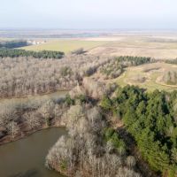 Honey Creek images 4
