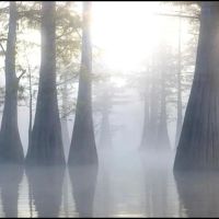 .5 Acre Lot in Wilkinson County on Lake Mary in Woodville MS