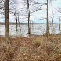 .5 Acre Lot in Wilkinson County on Lake Mary in Woodville MS images 2