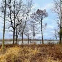 .5 Acre Lot in Wilkinson County on Lake Mary in Woodville MS images 3