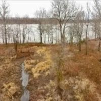 .5 Acre Lot in Wilkinson County on Lake Mary in Woodville MS images 5