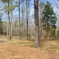Mobile home and 8 acres North Pike School District images 3