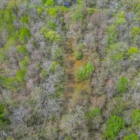 Great Duck Deer Combo in Concordia Parish images 3