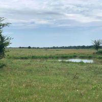 206.13 Acre Oklahoma Cattle Ranch Coalgate OK images 5