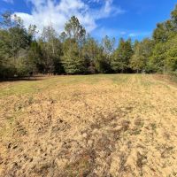 Patsaliga Creek Camp Hunting Timber Retreat images 2