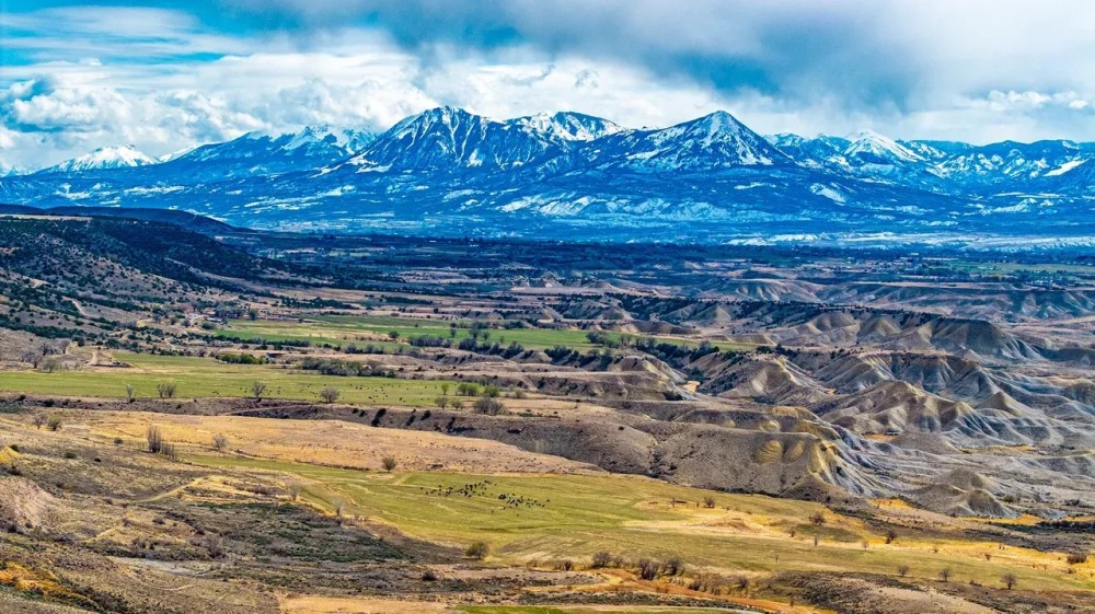 The Shamrock Ranch featured image