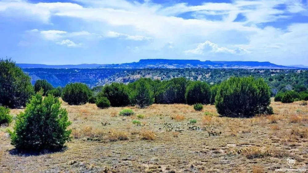 Long Canyon Ranch featured image