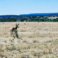 Long Canyon Ranch images 3