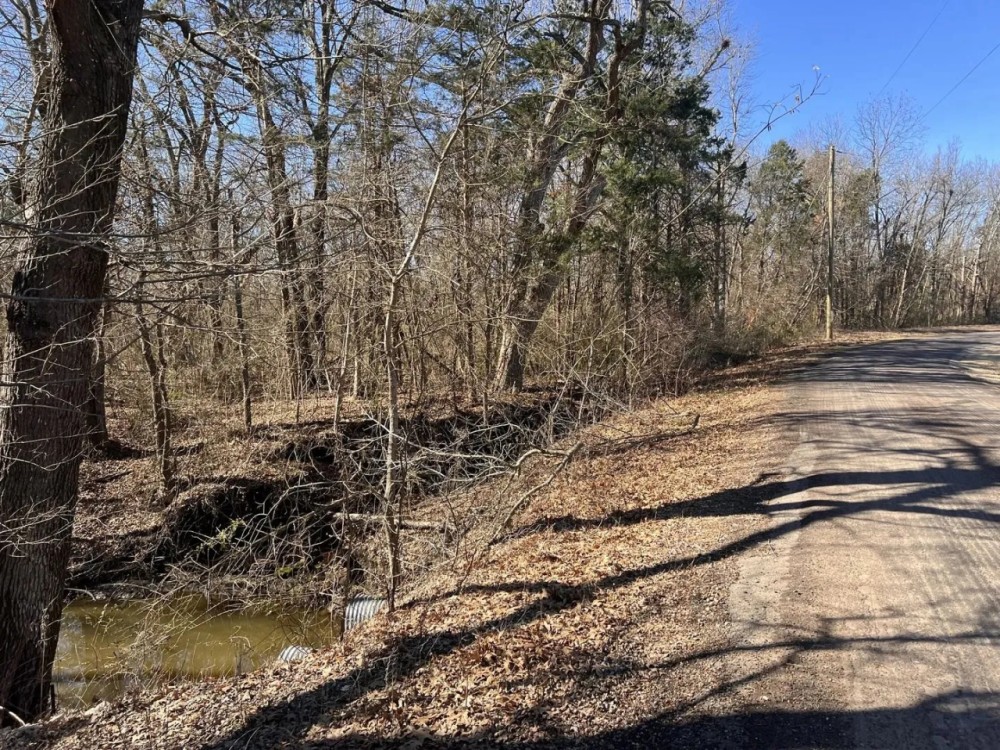 Heavily Wooded Acreage For Sale in Northeast Texas featured image