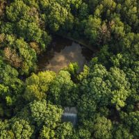 81 Acres with a Cabin in Rankin and Simpson Counties MS images 3