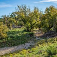 Arledge Family Ranch images 3